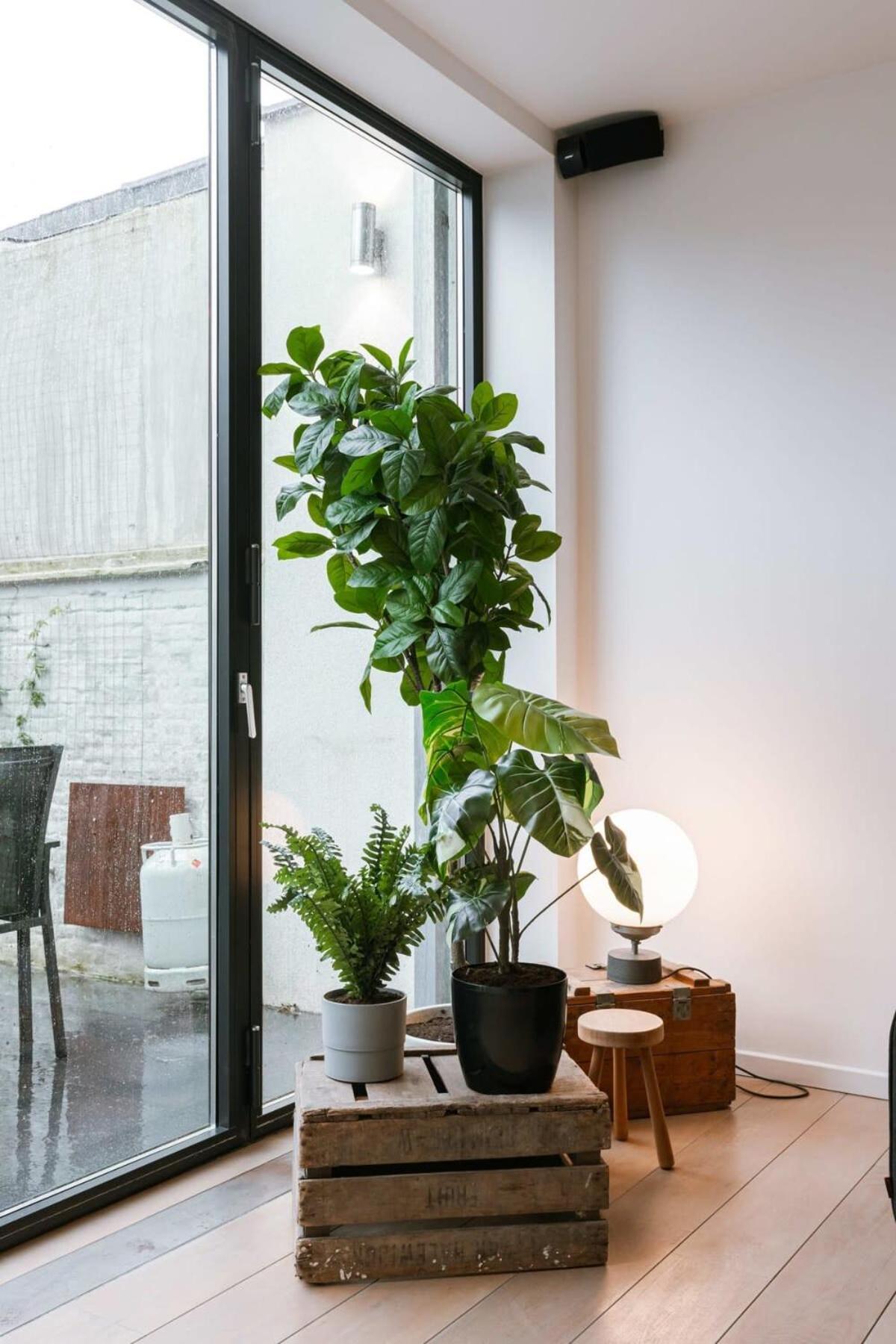 Huswell - Charming Urban Retreat, 15 Minutes From Station Antwerpen